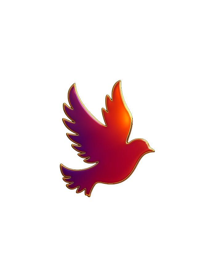 Porträtfoto von Fatih Yalcin