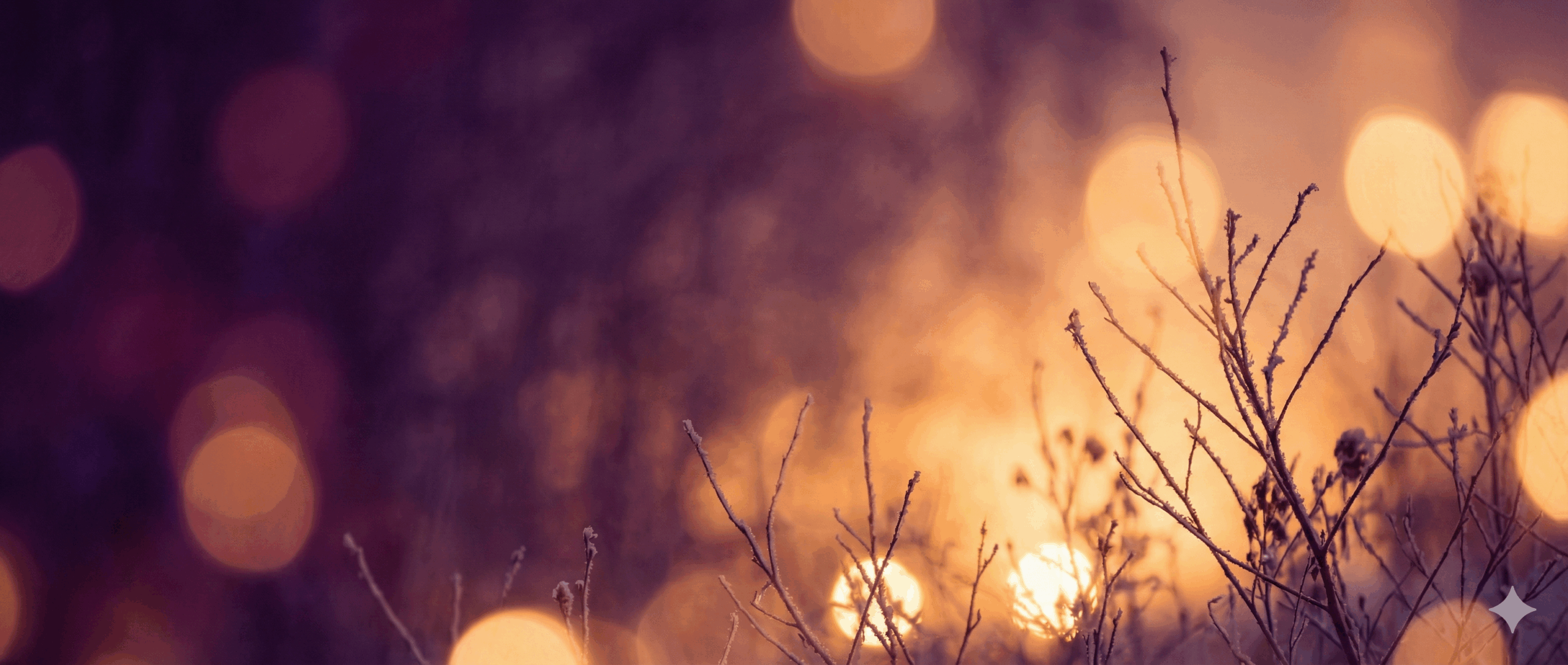 BSW Rhein-Erft Grafik